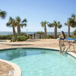 The Palace Resort Photo