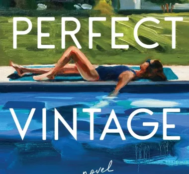 Book Cover for A Perfect Vintage, Chelsea Fagan