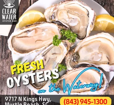 oysters on plate