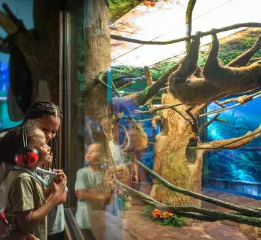 Sensory-Friendly Autism Ripley's Aquarium Sloths Sensory-Friendly Autism Ripley's Aquarium Sloths