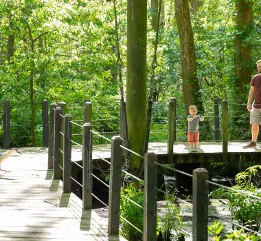 Brookgreen Gardens Lowcountry Zoo Brookgreen Gardens Lowcountry Zoo