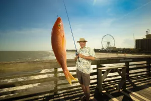 Beach with the Best fishing image