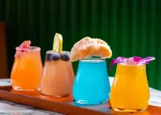 Zeytin Mimosa Flight