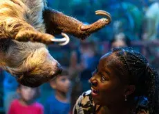 Ripley's Aquarium of Myrtle Beach Photo