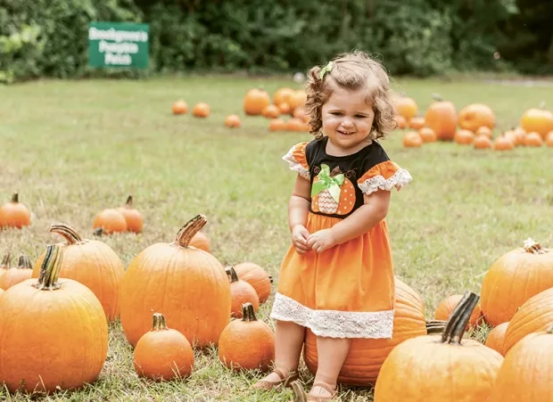 pumpkin